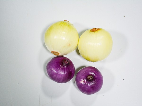 菜品展示