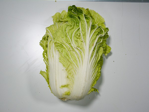菜品展示